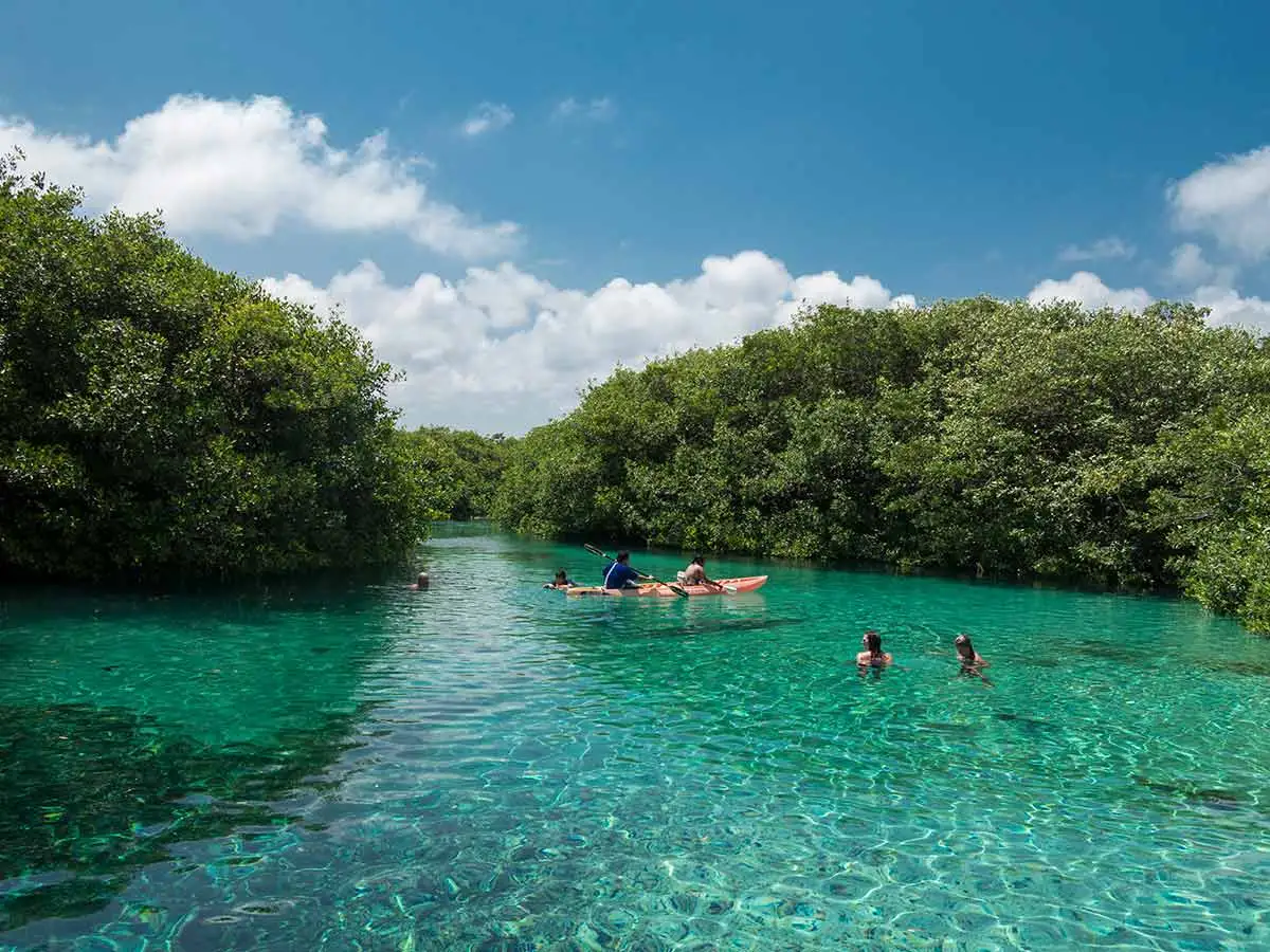 Natural cenote in Playa del Carmen Cancun Mexico