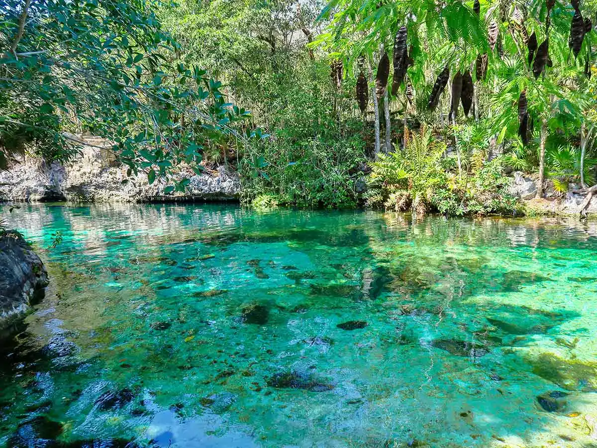 Natural cenote in Playa del Carmen Cancun Mexico