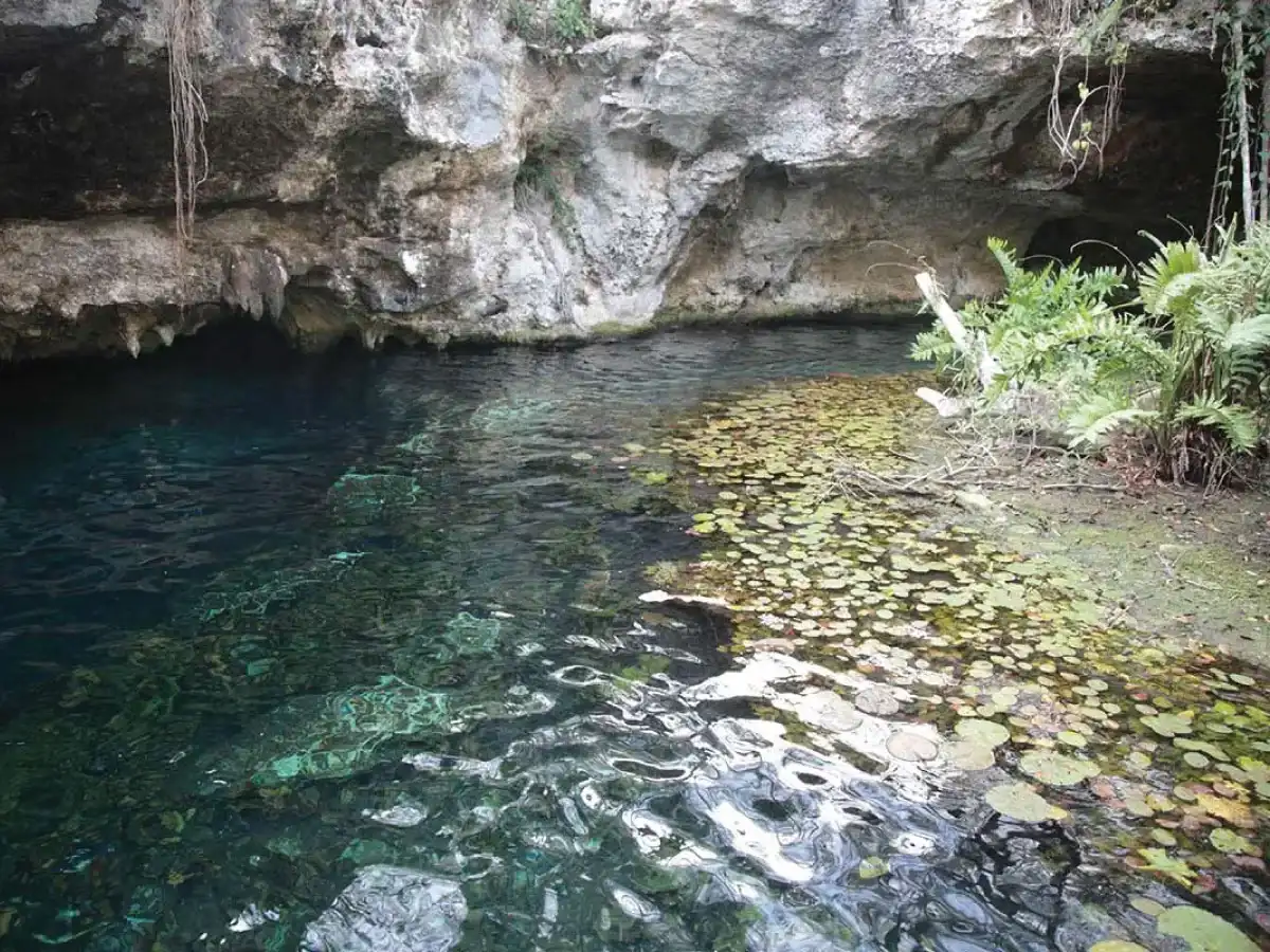 Gran cenote near Cancun